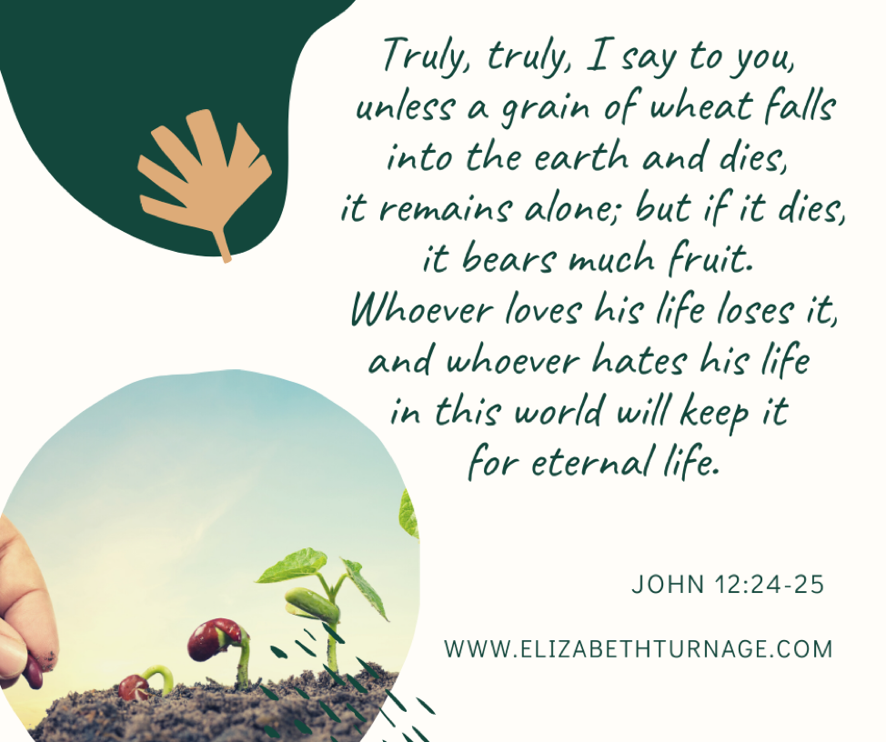 Truly, truly, I say to you, unless a grain of wheat falls into the earth and dies, it remains alone; but if it dies, it bears much fruit. Whoever loves his life loses it, and whoever hates his life in this world will keep it for eternal life. John 12:24-25