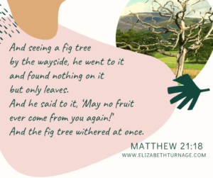 And seeing a fig tree by the wayside, he went to it and found nothing on it but only leaves. And he said to it, ‘May no fruit ever come from you again!’ And the fig tree withered at once. Matthew 21:18