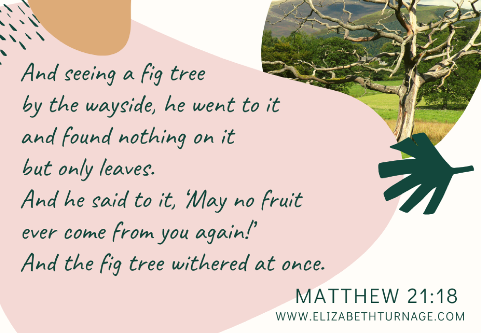 A Prayer about Becoming Fruitful Fig Trees