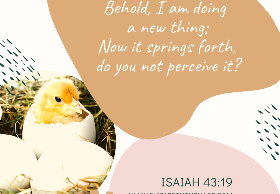 Leaning Into Brand New Things