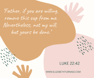 ‘Father, if you are willing, remove this cup from me. Nevertheless, not my will, but yours be done.’ Luke 22:42