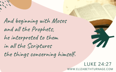 A Prayer about Missing the Obvious