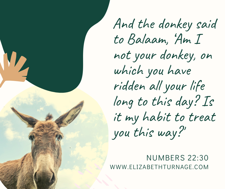 “And the donkey said to Balaam, ‘Am I not your donkey, on which you have ridden all your life long to this day? Is it my habit to treat you this way?’ Numbers 22:30