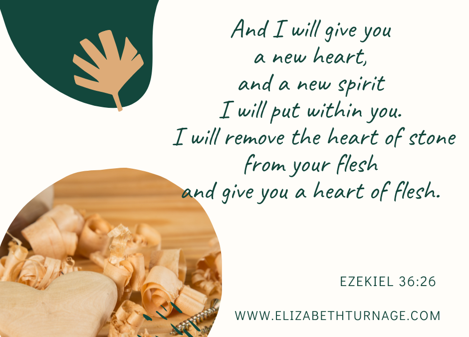 A Prayer about the Best Heart Transplant