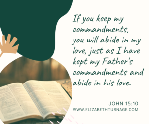 If you keep my commandments, you will abide in my love, just as I have kept my Father's commandments and abide in his love. John 15:10