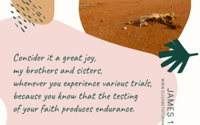 A Prayer about Joy in Trials