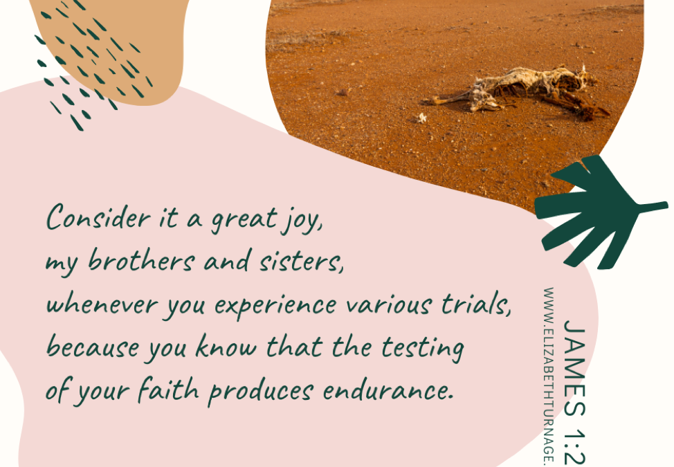 A Prayer about Joy in Trials