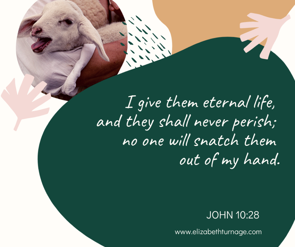 I give them eternal life, and they shall never perish; no one will snatch them out of my hand. John 10:28