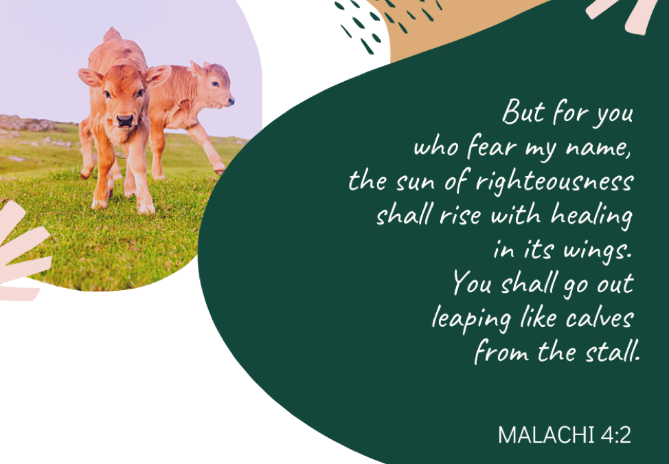 A Prayer about the Day the Lord Returns