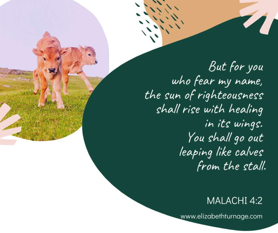 But for you who fear my name, the sun of righteousness shall rise with healing in its wings. You shall go out leaping like calves from the stall. Malachi 4:2