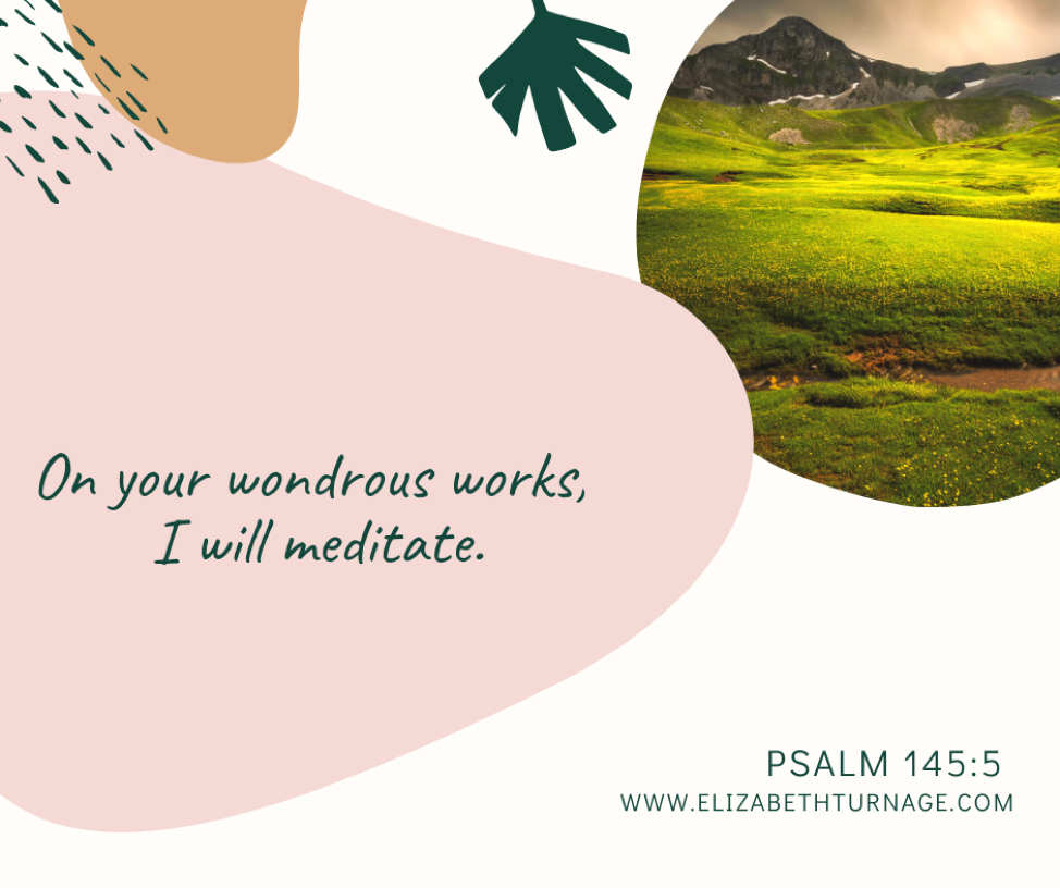 On your wondrous works, I will meditate. Psalm 145:5