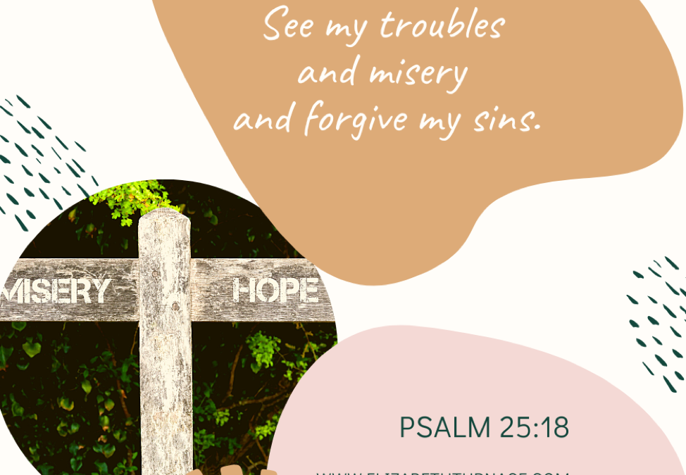 A Prayer about the Misery of Sin