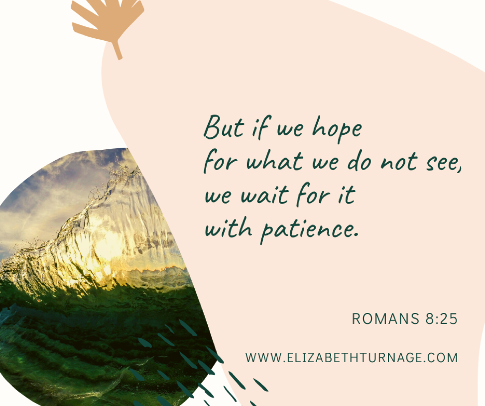 But if we hope for what we do not see, we wait for it with patience. Romans 8:25