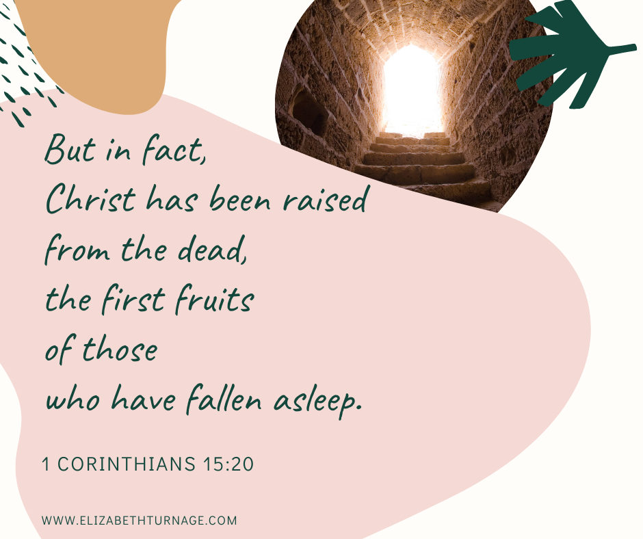 1 Cor 15.20 But in fact, Christ has been raised from the dead, the first fruits of those who have fallen asleep. 1 Corinthians 15:20.