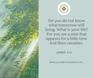 Yet you do not know what tomorrow will bring. What is your life? For you are a mist that appears for a little time and then vanishes. James 4:14