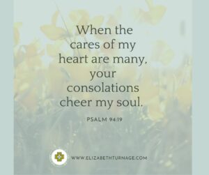 When the cares of my heart are many, your consolations cheer my soul. Psalm 94:19