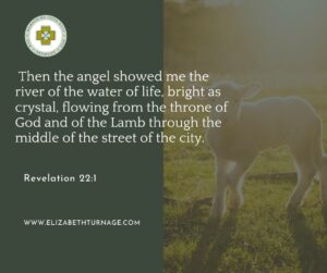 Then the angel showed me the river of the water of life, bright as crystal, flowing from the throne of God and of the Lamb through the middle of the street of the city…. Revelation 22:1