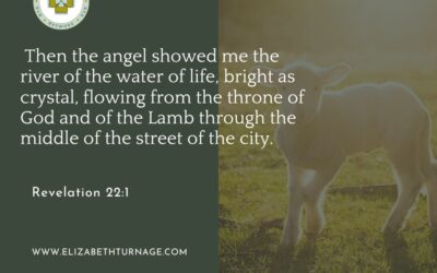 A Prayer about Clearing the Caregiver Fog