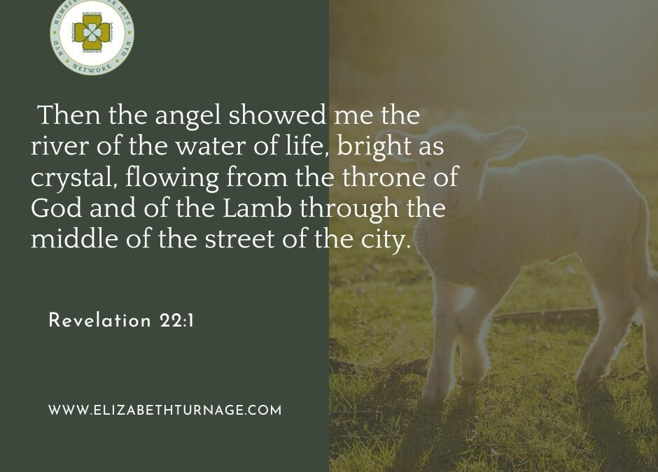 A Prayer about Clearing the Caregiver Fog