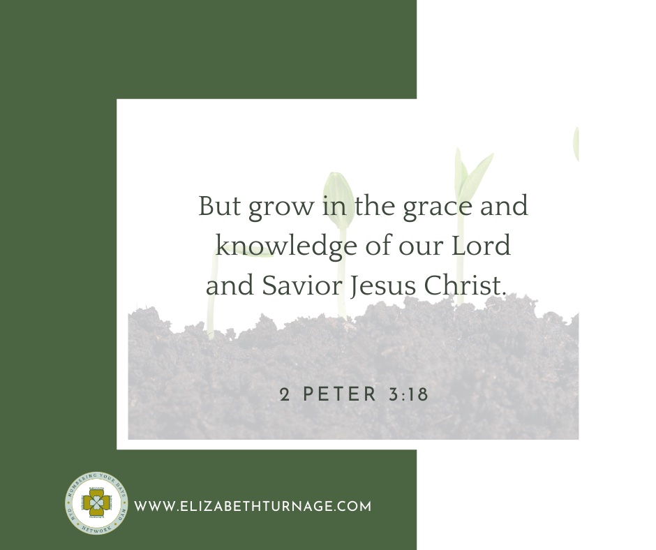 But grow in the grace and knowledge of our Lord and Savior Jesus Christ. 2 Peter 3:18