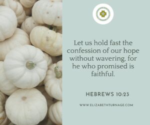 Let us hold fast the confession of our hope without wavering, for he who promised is faithful. Heb. 10:23