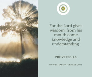 For the Lord gives wisdom; from his mouth come knowledge and understanding. Proverbs 2:6