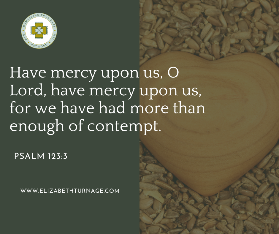 PS 1233 Have mercy upon us, O Lord, have mercy upon us, for we have had more than enough of contempt. Psalm 123:3