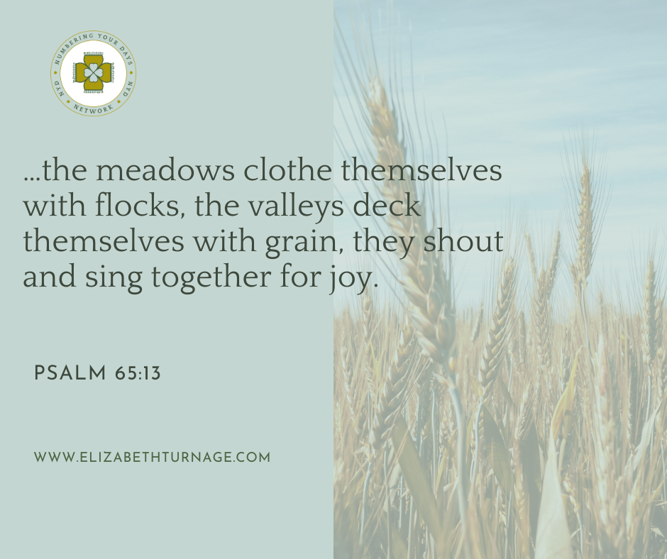 PS 6513 …the meadows clothe themselves with flocks, the valleys deck themselves with grain, they shout and sing together for joy. Psalm 65:13