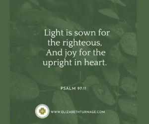 Light is sown for the righteous, And joy for the upright in heart. Psalm 97:11