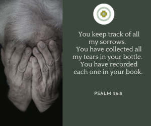You keep track of all my sorrows. You have collected all my tears in your bottle. You have recorded each one in your book. Psalm 56:8
