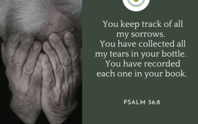 A Prayer about Our Tear-Counting God