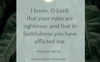 A Prayer about Affliction