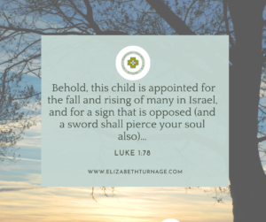 Behold, this child is appointed for the fall and rising of many in Israel, and for a sign that is opposed (and a sword shall pierce your soul also)…Luke 2:34-35