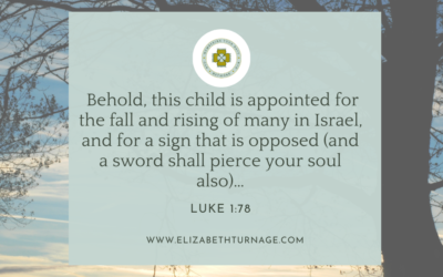 A Prayer about Suffering with the Savior