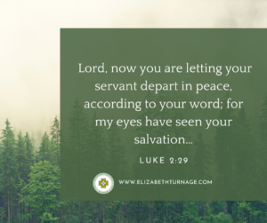 Lord, now you are letting your servant depart in peace, according to your word; for my eyes have seen your salvation…Luke 2:29