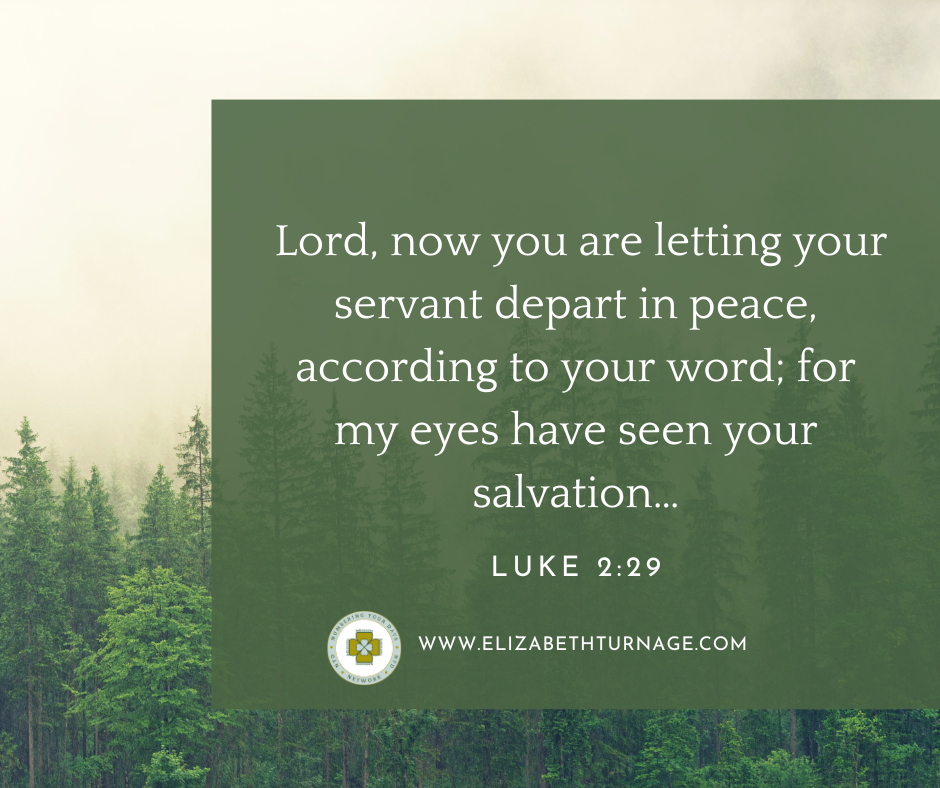 Luke 229 Lord, now you are letting your servant depart in peace, according to your word; for my eyes have seen your salvation…Luke 2:29