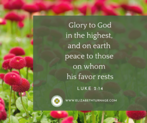 Glory to God in the highest, and on earth peace to those on whom his favor rests. Luke 2:14