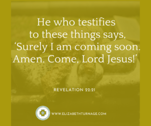 He who testifies to these things says, ‘Surely I am coming soon. Amen. Come, Lord Jesus!’ Revelation 22:20