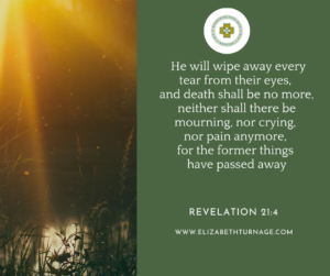 He will wipe away every tear from their eyes, and death shall be no more, neither shall there be mourning, nor crying, nor pain anymore, for the former things have passed away. Revelation 21:4