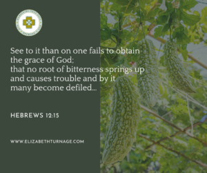 See to it than on one fails to obtain the grace of God; that no root of bitterness springs up and causes trouble and by it many become defiled… Hebrews 12:15