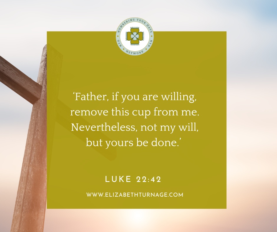 ‘Father, if you are willing, remove this cup from me. Nevertheless, not my will, but yours be done.’ Luke 22:42