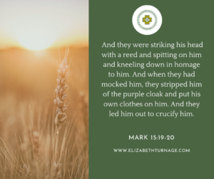 Picture with Bible verse that says: And they were striking his head with a reed and spitting on him and kneeling down in homage to him. And when they had mocked him, they stripped him of the purple cloak and put his own clothes on him. And they led him out to crucify him. Mark 15:19-20