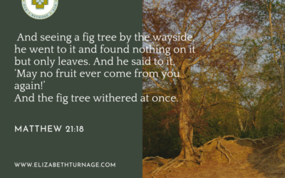 A Prayer about Becoming Fruitful Fig Trees