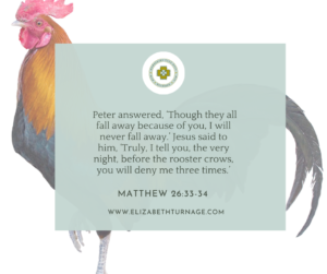 Picture with verse: Peter answered, ‘Though they all fall away because of you, I will never fall away.’ Jesus said to him, ‘Truly, I tell you, the very night, before the rooster crows, you will deny me three times.’ Matthew 26:33-34