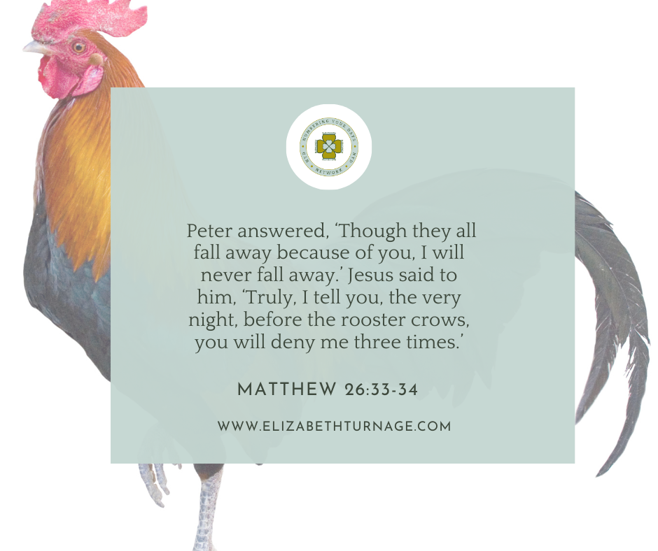 Picture with verse: Peter answered, ‘Though they all fall away because of you, I will never fall away.’ Jesus said to him, ‘Truly, I tell you, the very night, before the rooster crows, you will deny me three times.’ Matthew 26:33-34