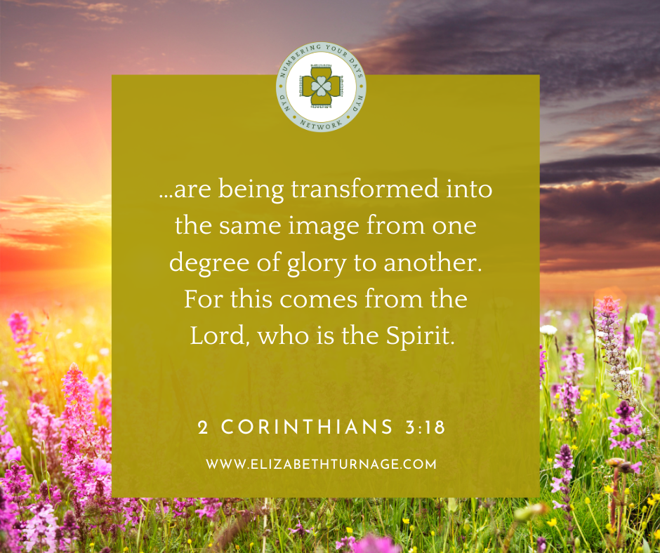 …are being transformed into the same image from one degree of glory to another. For this comes from the Lord, who is the Spirit. 2 Corinthians 3:18b