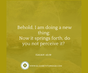 Behold, I am doing a new thing; Now it springs forth, do you not perceive it? Isaiah 43:19