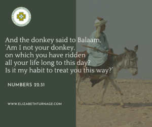 “And the donkey said to Balaam, ‘Am I not your donkey, on which you have ridden all your life long to this day? Is it my habit to treat you this way?’ Numbers 22:31