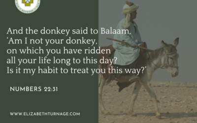A Prayer about a Talking Donkey