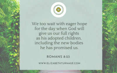 A Prayer about Waiting with Hope